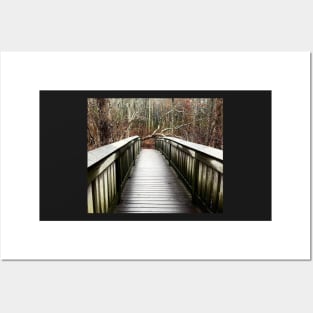 Boardwalk bridge,in the great Marsh, East Sandwich MA Posters and Art